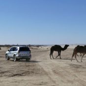 Best morocco tours