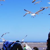 Best morocco tours