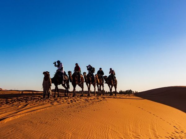 Discover Merzouga Camel Trekking in Morocco. Embark on a desert adventure, explore Erg Chebbi's majestic dunes, and camp under the Sahara stars. Book your camel trek now!