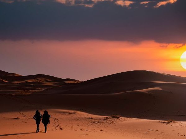 Discover Merzouga Camel Trekking in Morocco. Embark on a desert adventure, explore Erg Chebbi's majestic dunes, and camp under the Sahara stars. Book your camel trek now!