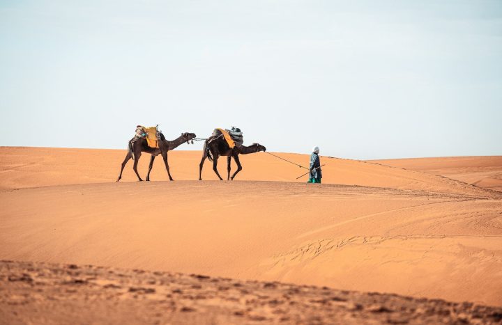 Merzouga camel trekking in Morocco